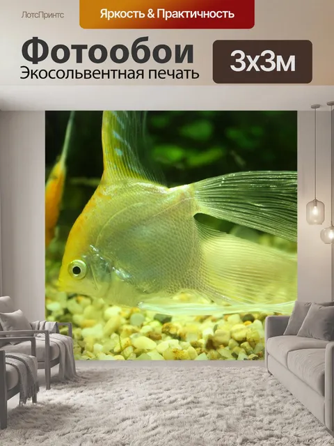 Фотообои Подводный мир