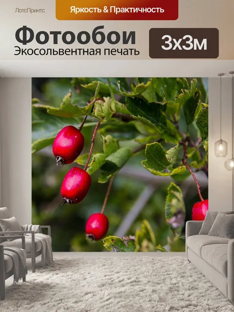Фотообои Белые ягоды