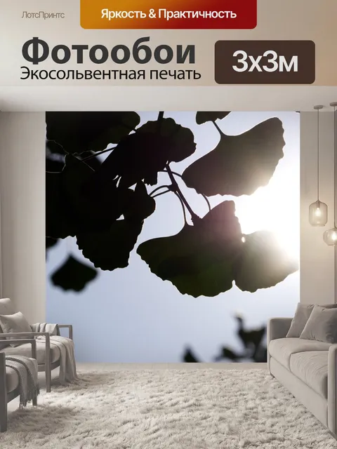 Фотообои Гинкго