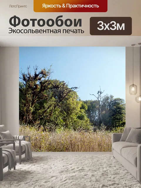 Фотообои Гора, национальный парк Дои Интанон
