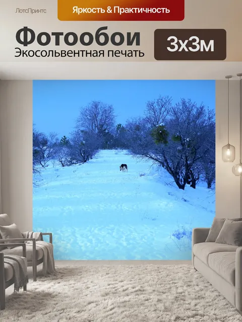 Фотообои Зима