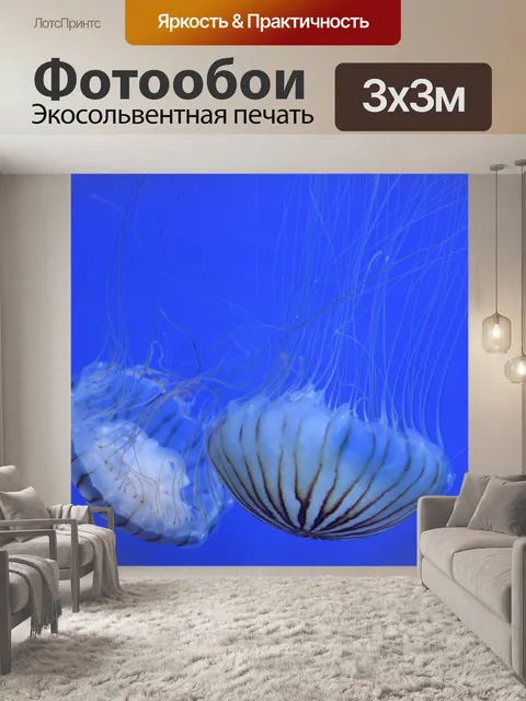 Фотообои Медуза