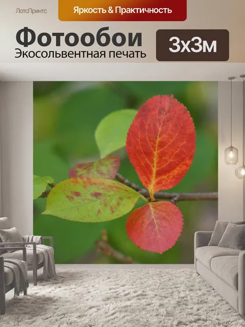 Фотообои Осень