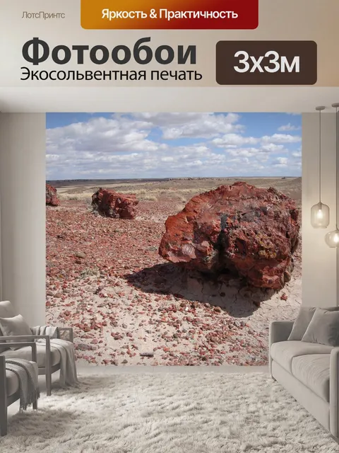 Фотообои Окаменевший лес национальный парк