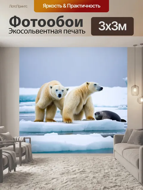 Фотообои охота на полярном круге, где белые медведи преследуют тюленей по льду