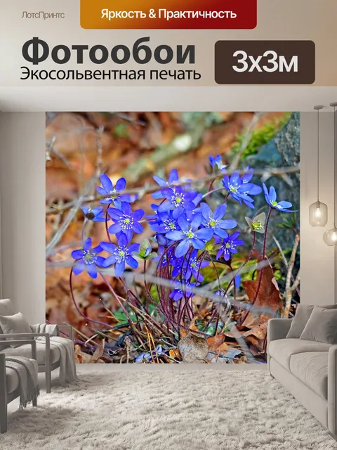 Фотообои Природа