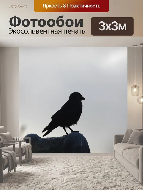 Фотообои Силуэт