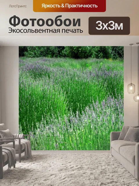 Фотообои Лавандовое поле