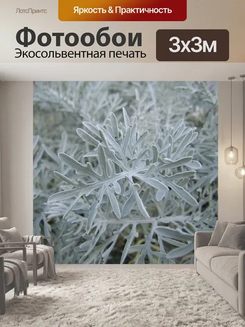 Фотообои Листья