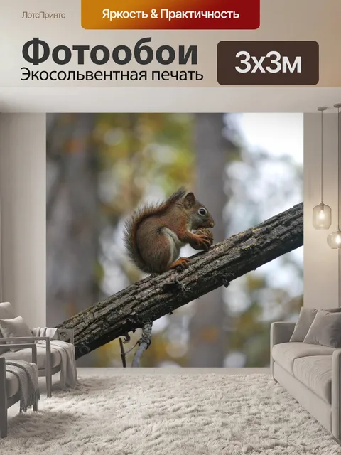 Фотообои Белка