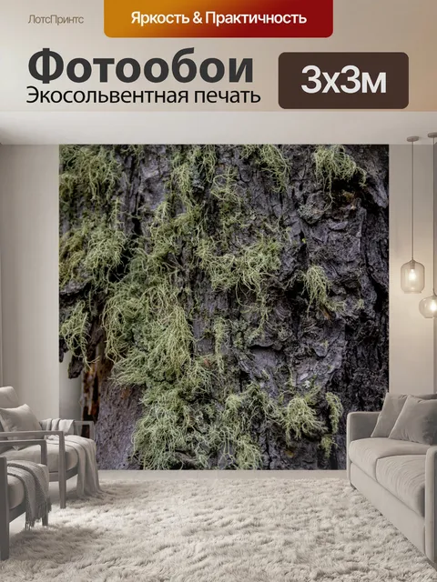 Фотообои мох