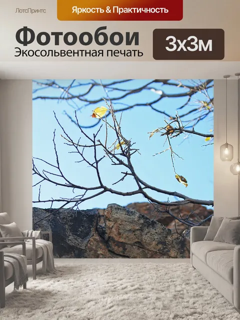 Фотообои Одиночный желтый лист с камнем