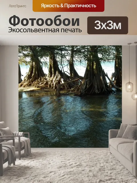 Фотообои Кипарис