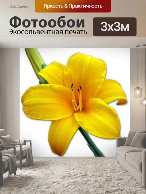 Фотообои Лили