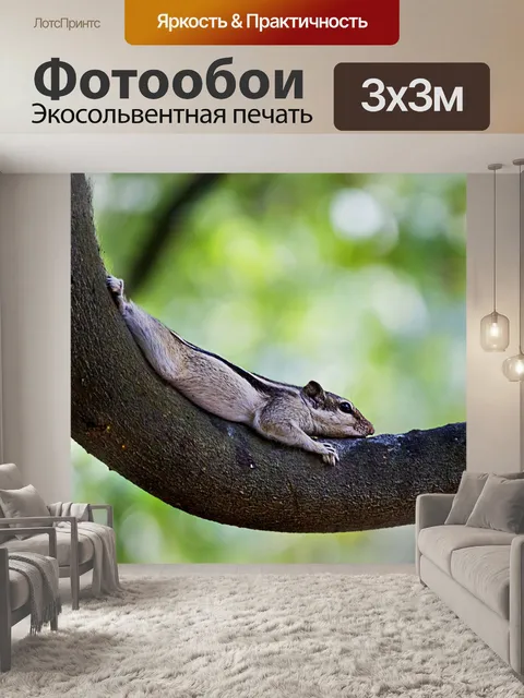 Фотообои Пять-полосатые пальмовые белки