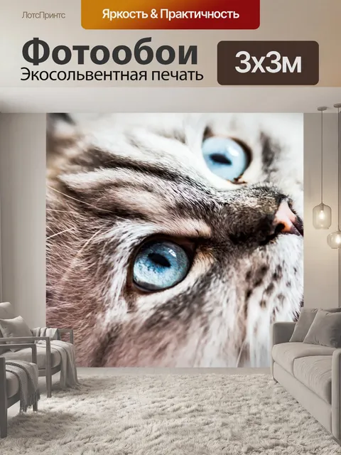 Фотообои Кот