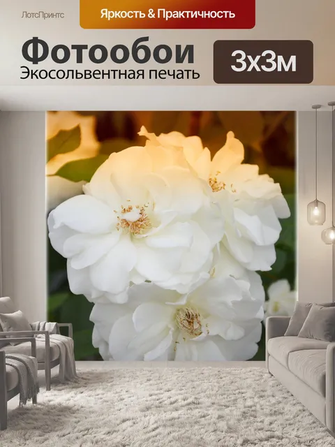 Фотообои Голландские цветы в садах 68