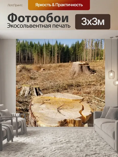 Фотообои Вырубка леса