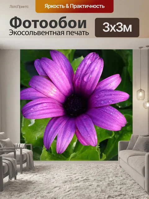 Фотообои Фиолетовый цветок с каплями дождя