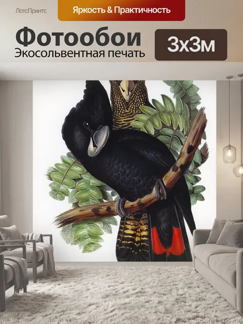 Фотообои Попугай какаду птица винтаж