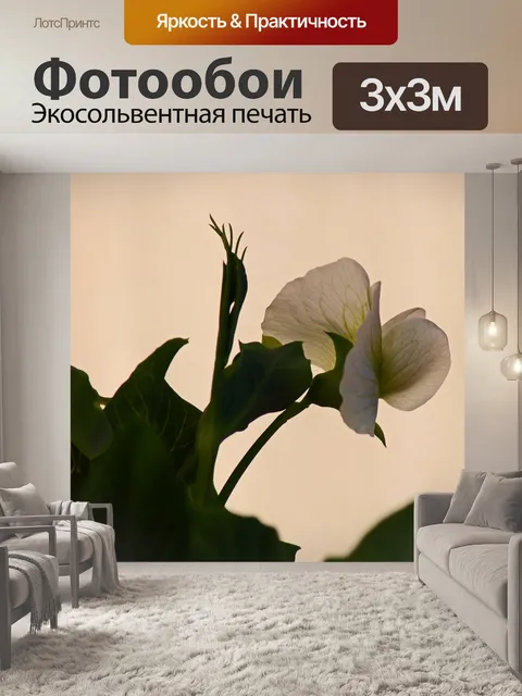 Фотообои вид белого цветка зеленого горошка