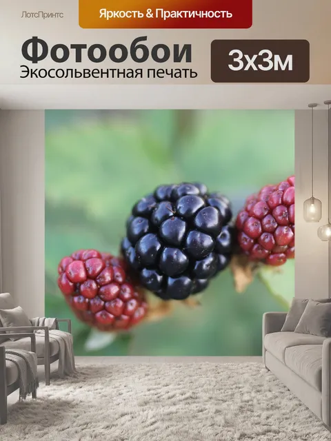 Фотообои Ягоды