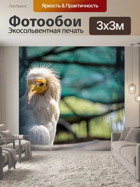 Фотообои Птица