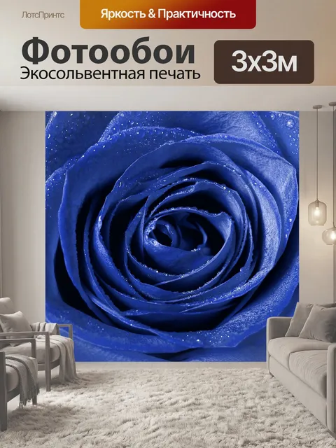 Фотообои Синий цветок розы