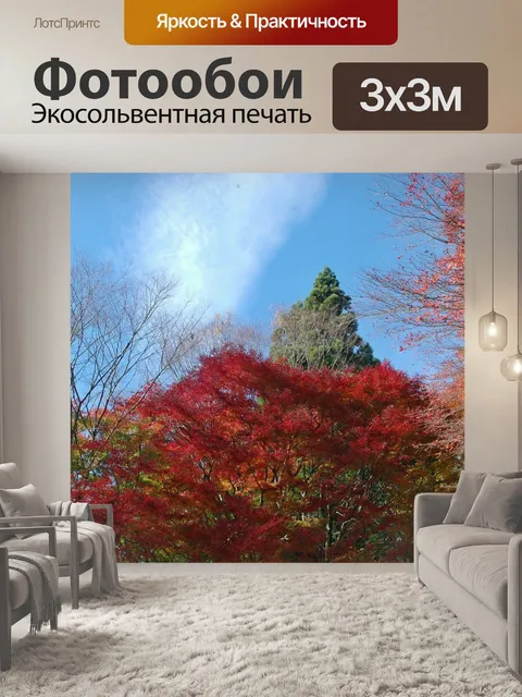 Фотообои Осень