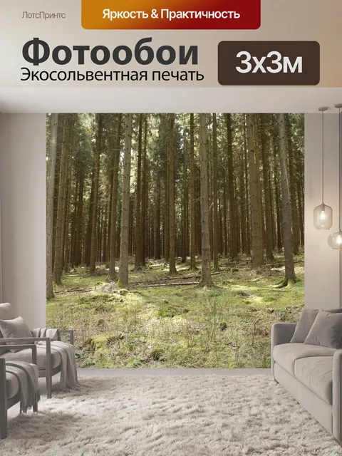 Фотообои Лес