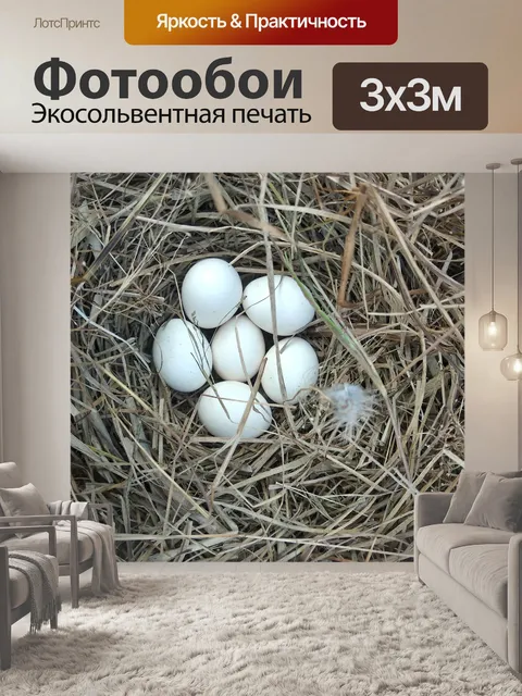 Фотообои Яйца