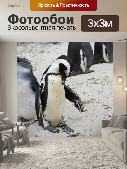 Фотообои Пингвин