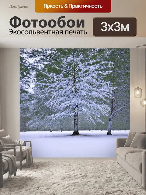 Фотообои берёза в зимнем лесу, покрытая снежным покровом, еле видна среди белоснежных деревьев