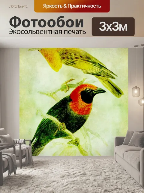 Фотообои Птицы Старинные иллюстрации