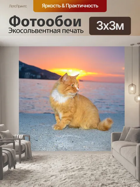 Фотообои Кошка