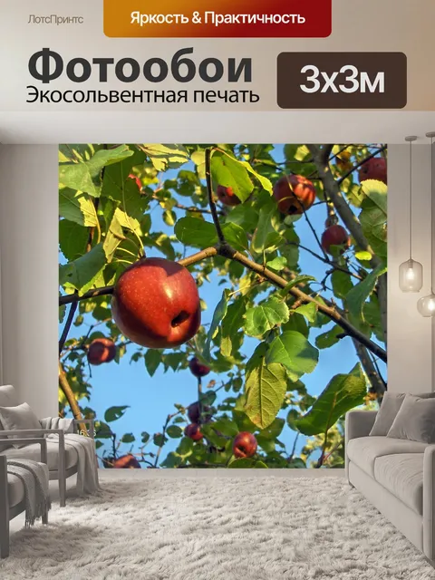 Фотообои Яблоки