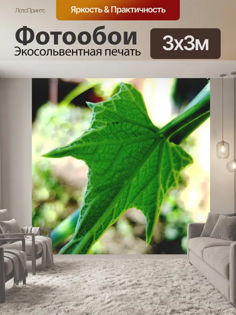 Фотообои Нежный зеленый цвет листьев