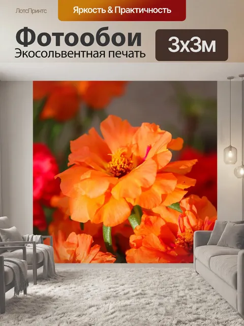 Фотообои Моховая роза портулак