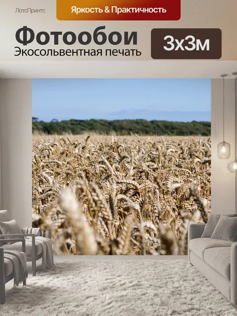 Фотообои Пшеничное поле