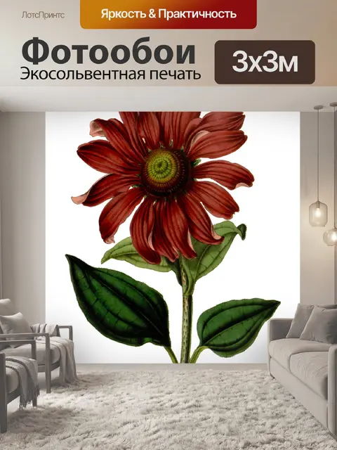 Фотообои Эхинацея цветок старинное искусство