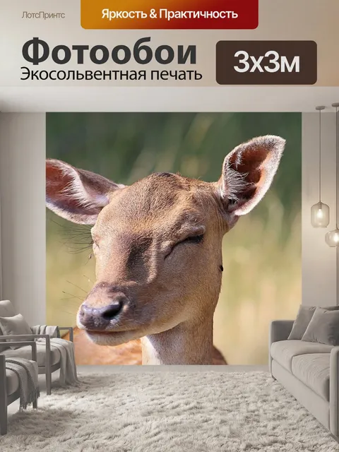 Фотообои Олень