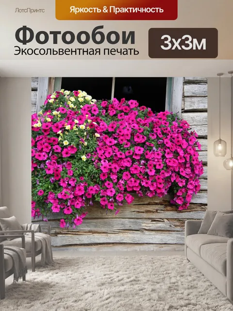 Фотообои Разноцветные цветы на подоконнике