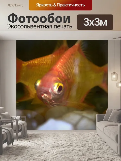 Фотообои Аквариумные рыбки 4