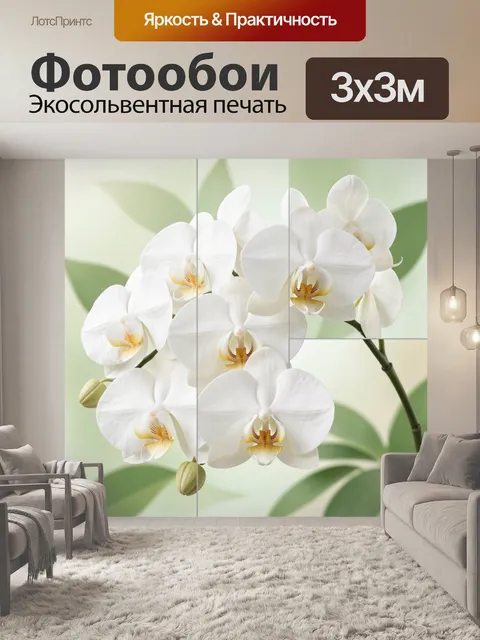 Фотообои Белые орхидеи на светлом фоне