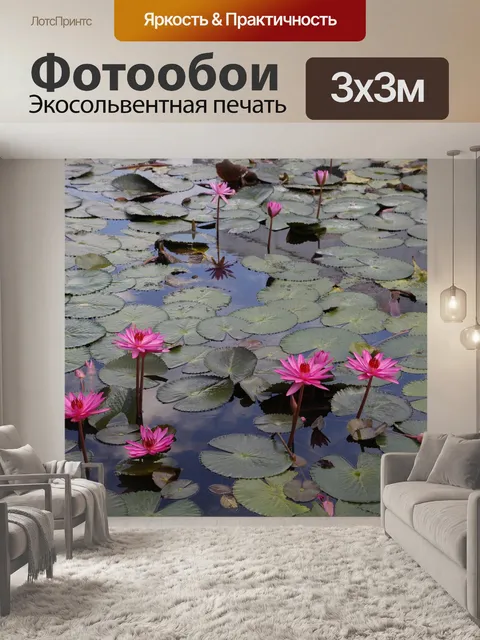 Фотообои Розовая водяная лилия