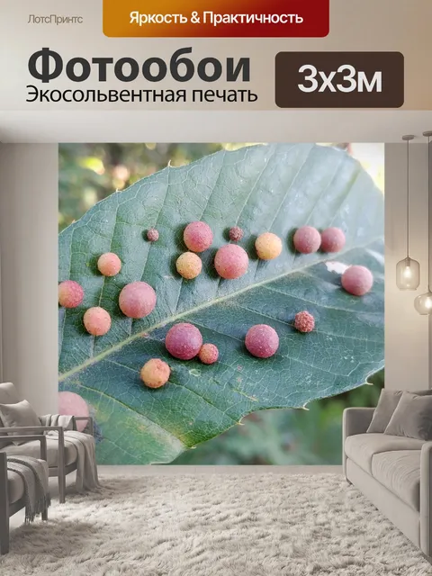 Фотообои Или пчелы суровые