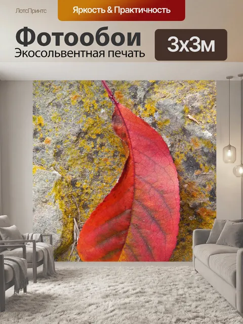 Фотообои Лист