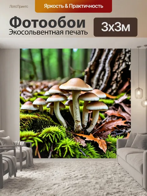 Фотообои грибы грибница, прорастающие сквозь мох и сухие листья, с текстурой коры и корней дерева на заднем плане