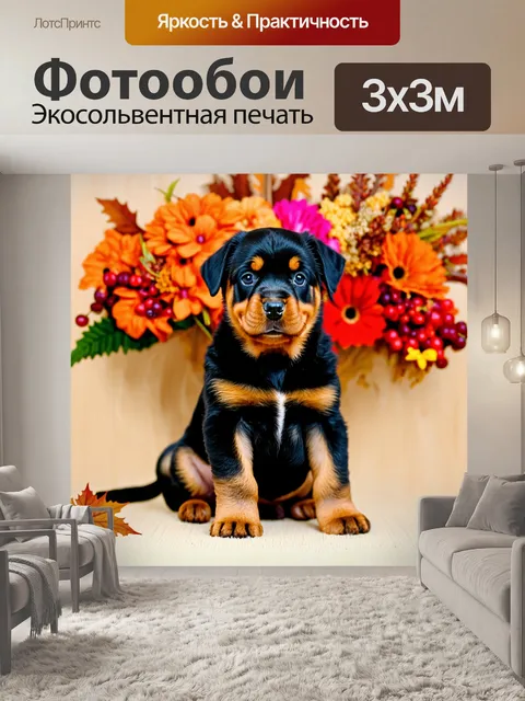 Фотообои Маленький щенок породы ротвейлер с черно-рыжей шерстью