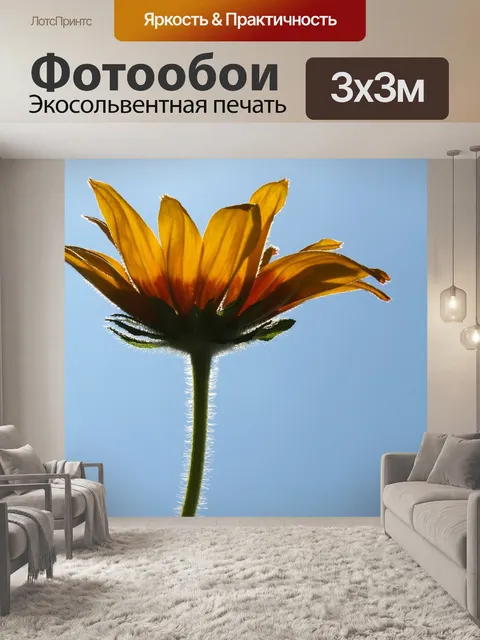 Фотообои Цветок